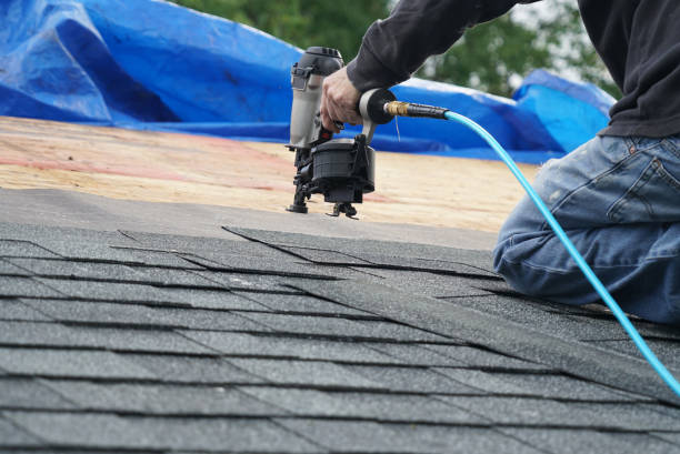 Best Roof Moss and Algae Removal  in Alderton, WA